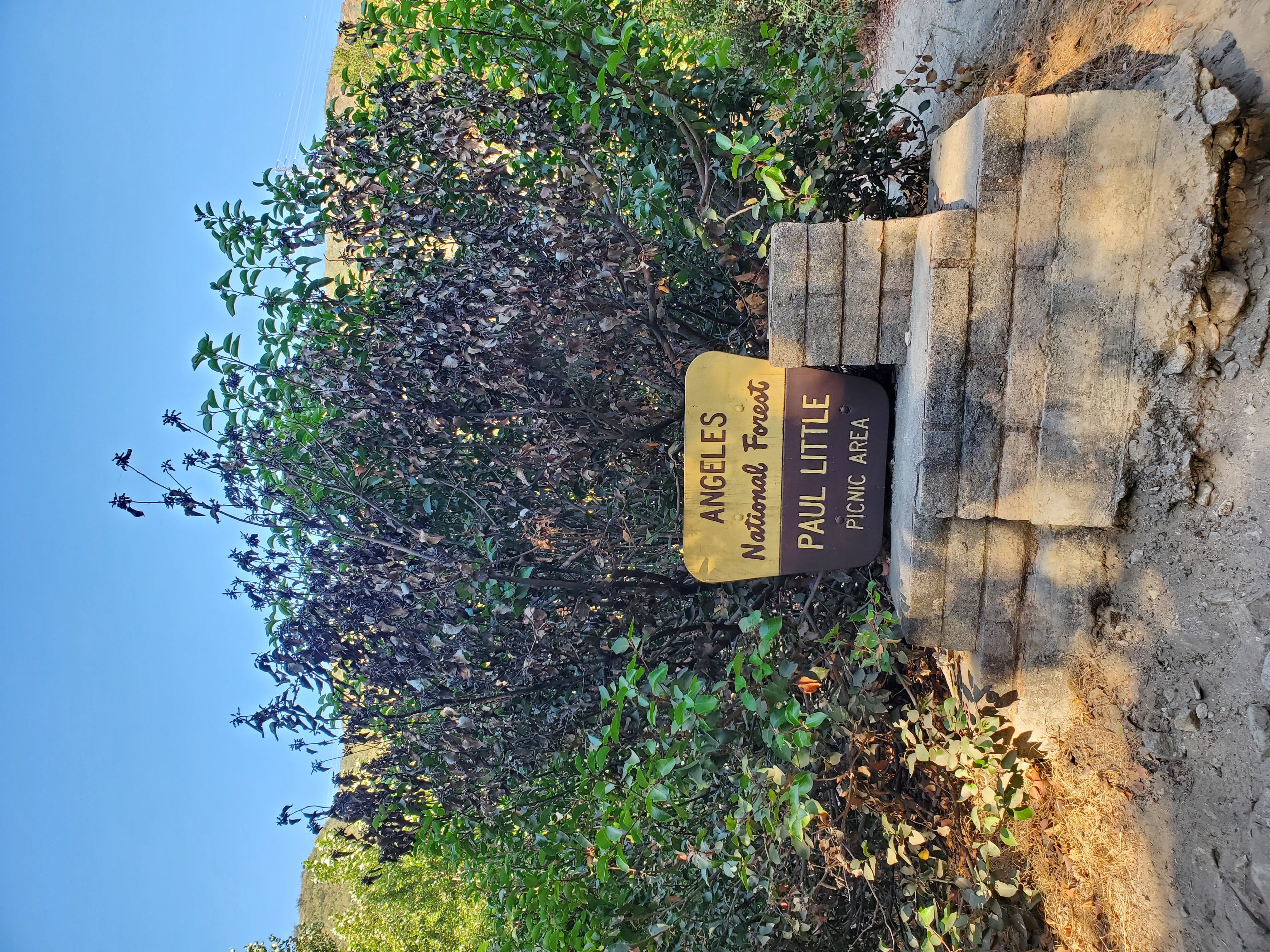 picnic sign