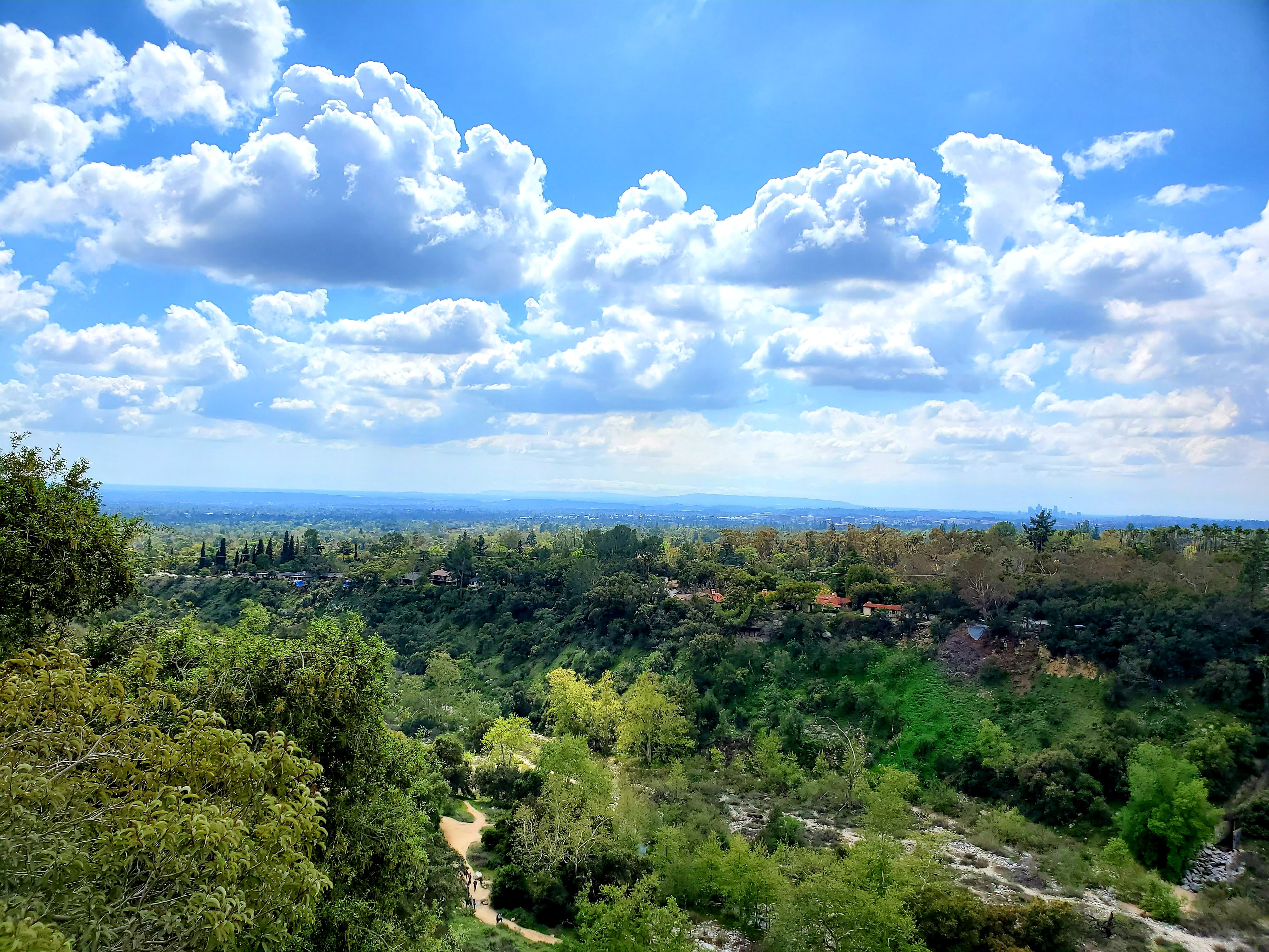 Henninger Flats Trail | DSBoba