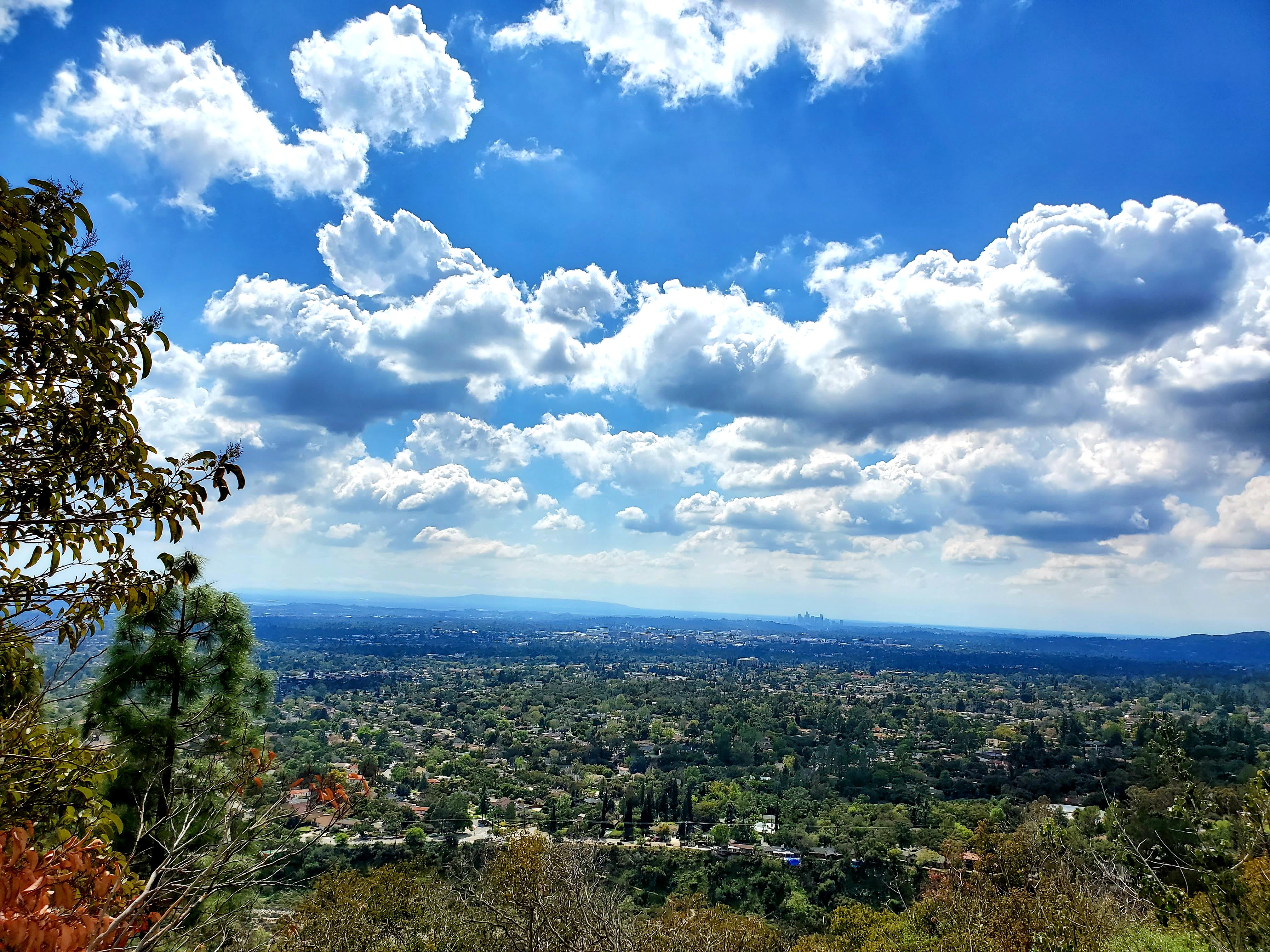 Henninger Flats Trail | DSBoba