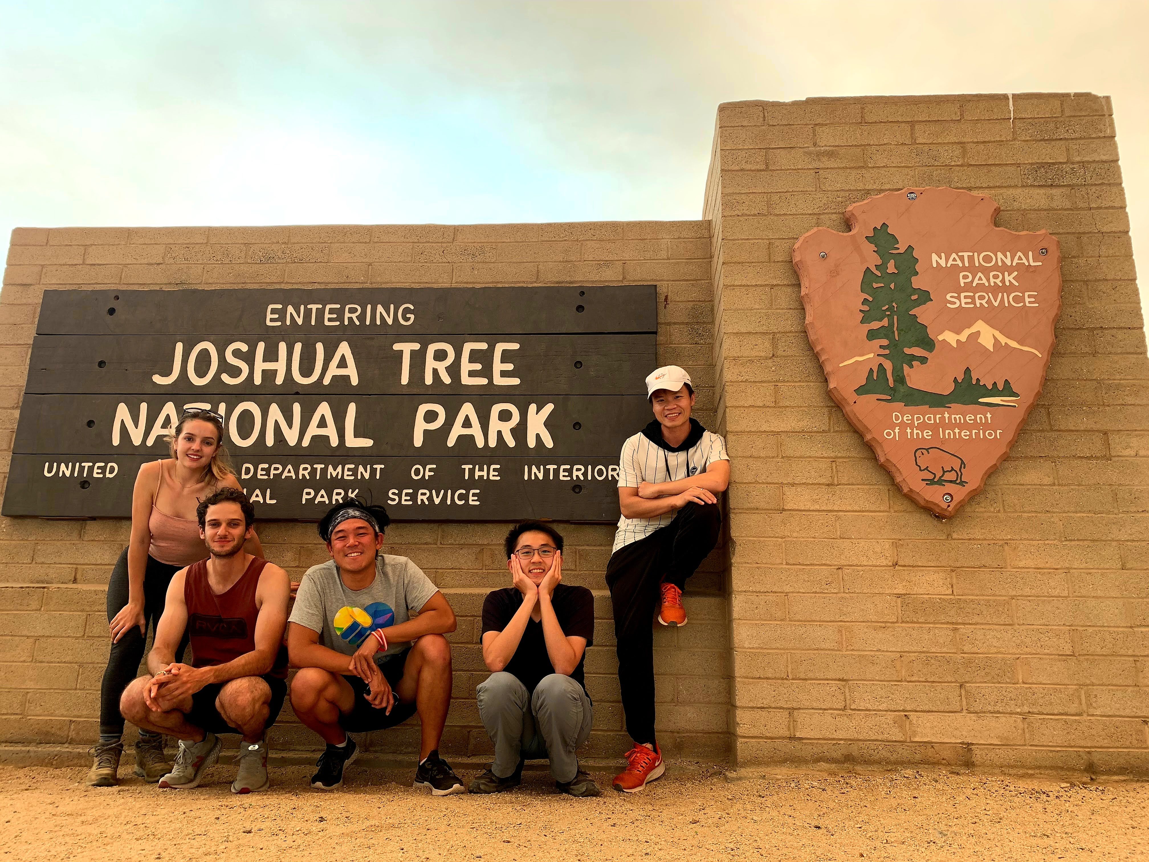 joshua tree sign