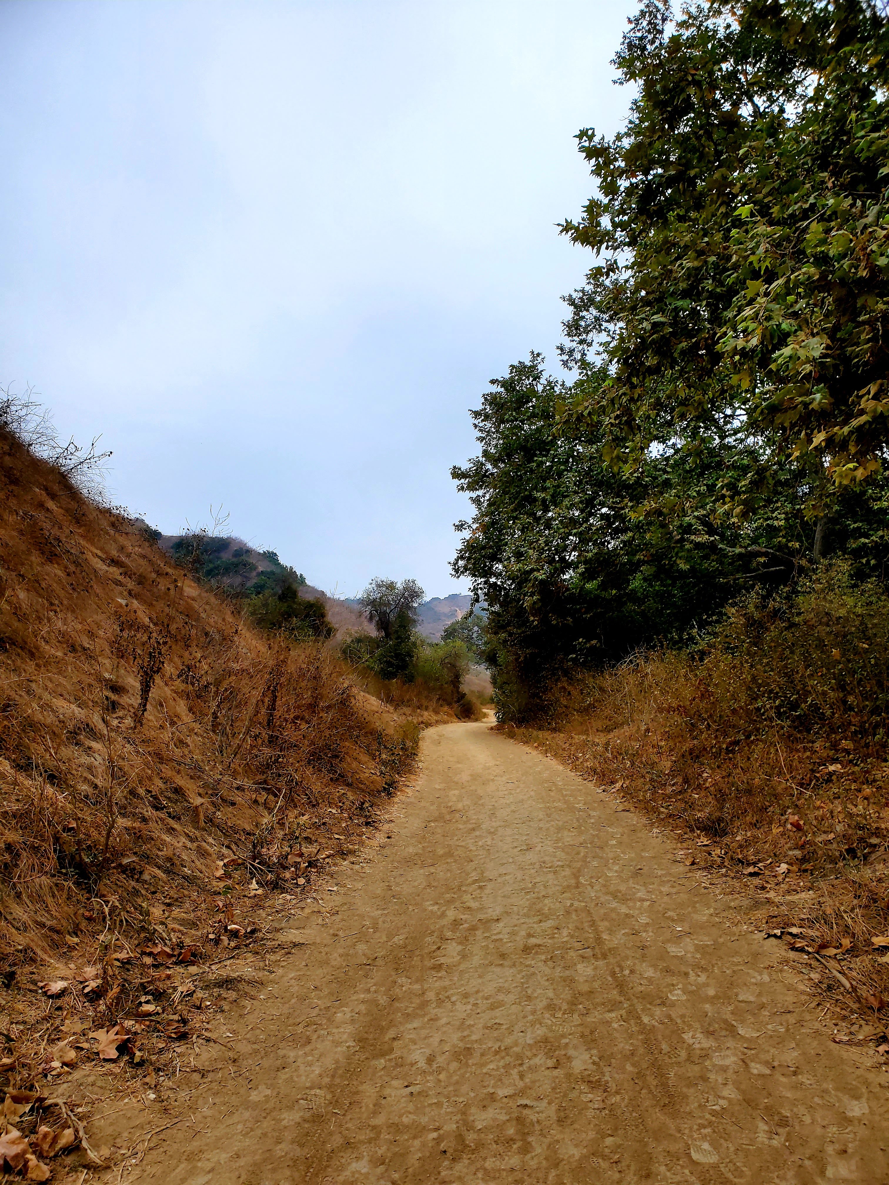 trail path